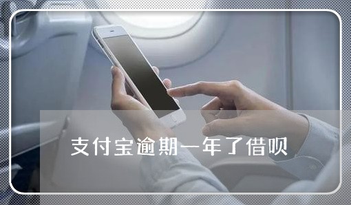 支付宝逾期从新开一个支付宝可以吗还款吗