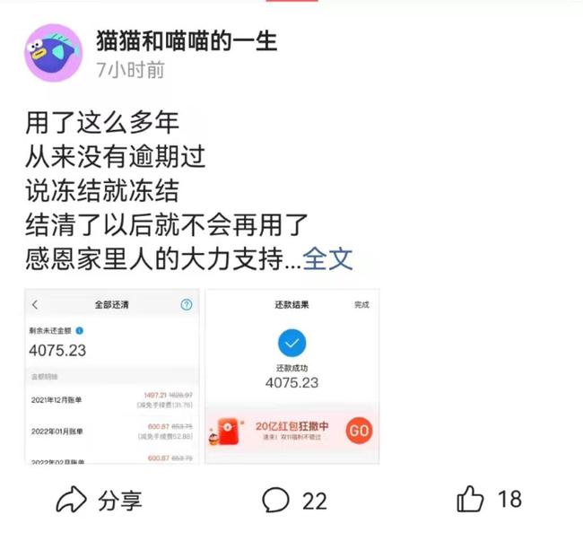 借呗和花呗逾期只还借呗是否可行？逾期未还会被判刑吗？借呗逾期，花呗按时还款，花呗会冻结吗？逾期后还花呗能继续使用吗？花呗逾期先还借呗会面临起诉吗？