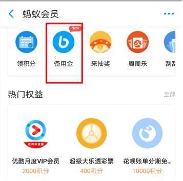 支付宝备用金逾期多久能用