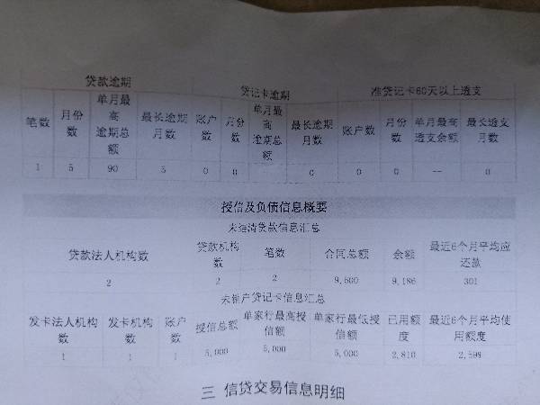 征信逾期了政审能过吗怎么办