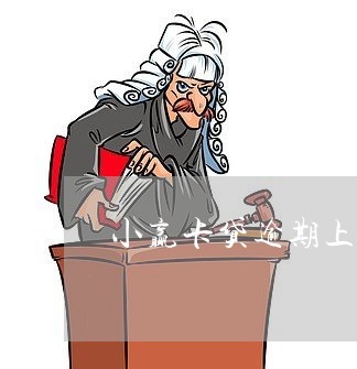 小赢卡贷逾期一年多了现在要怎么还了？