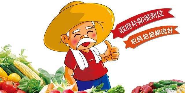 粮食直补贷款还不上怎么办