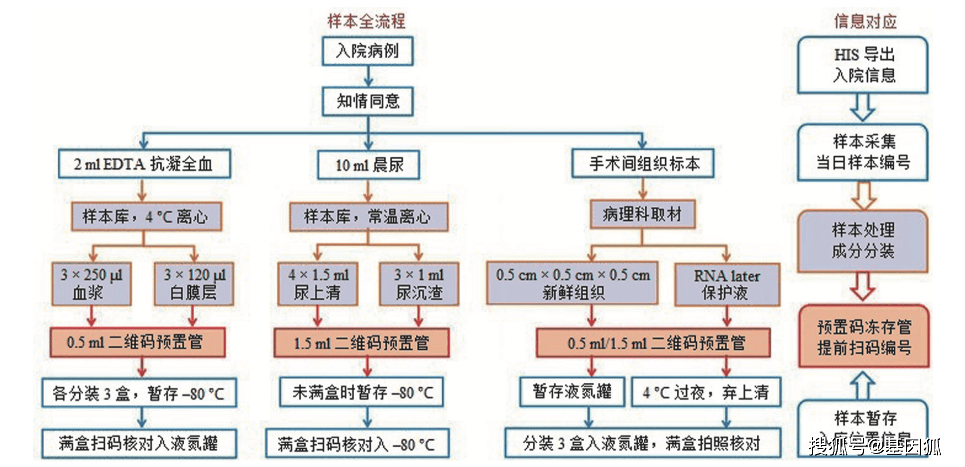深圳税务系统违章处理流程及罚款标准