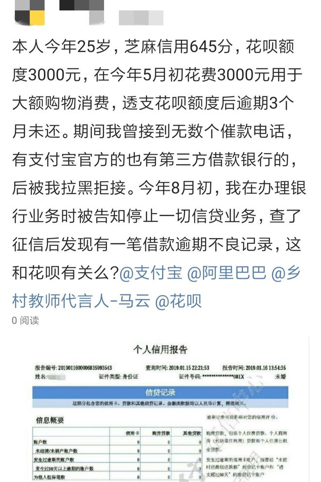 个人征信报告逾期月份数查询