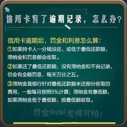 怎么看自己信用卡逾期记录