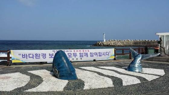 疫情济州岛拒绝中国游客吗？最新消息及知乎探讨