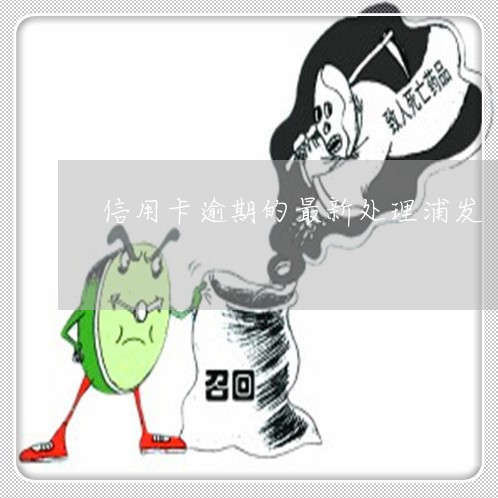 浦发银行信用卡逾期怎么扣费用及新法规