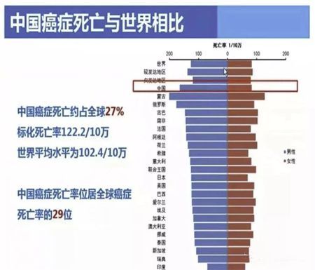 逾期情况分析报告文及会总结