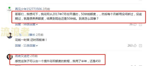 花呗借呗逾期了能办日本签证吗？