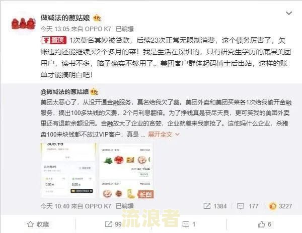 美团上借了钱逾期了，会不会被起诉？