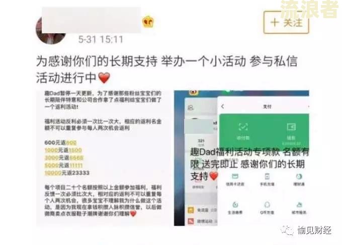 征信上的当前逾期更新与消除及对贷款影响分析