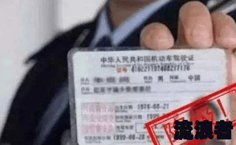 驾证逾期审验怎么处理及处罚