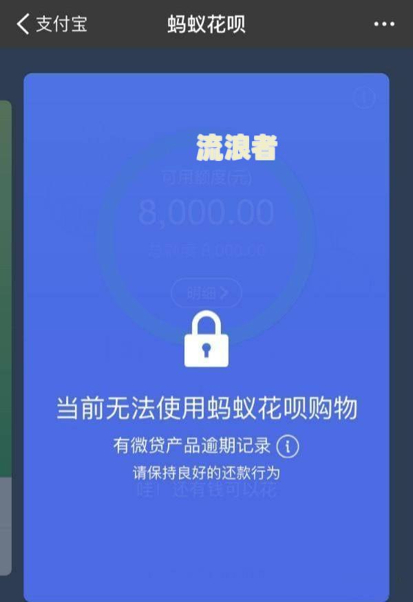 借呗逾期后怎么看到总欠款金额及额度？
