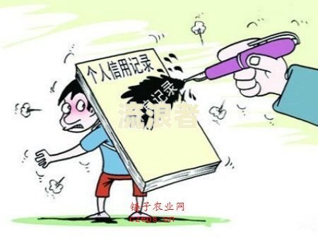 逾期十天后还款会有什么影响
