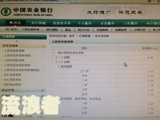 欠中国农业银行信用卡可以不还利息和滞纳金吗？