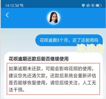 花呗逾期300块钱几个月不还严不严重，逾期300天后恢复使用资格