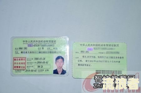 怎样查自己车是不是审了及年检状态