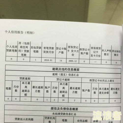 国美逾期贷款处理及征信情况