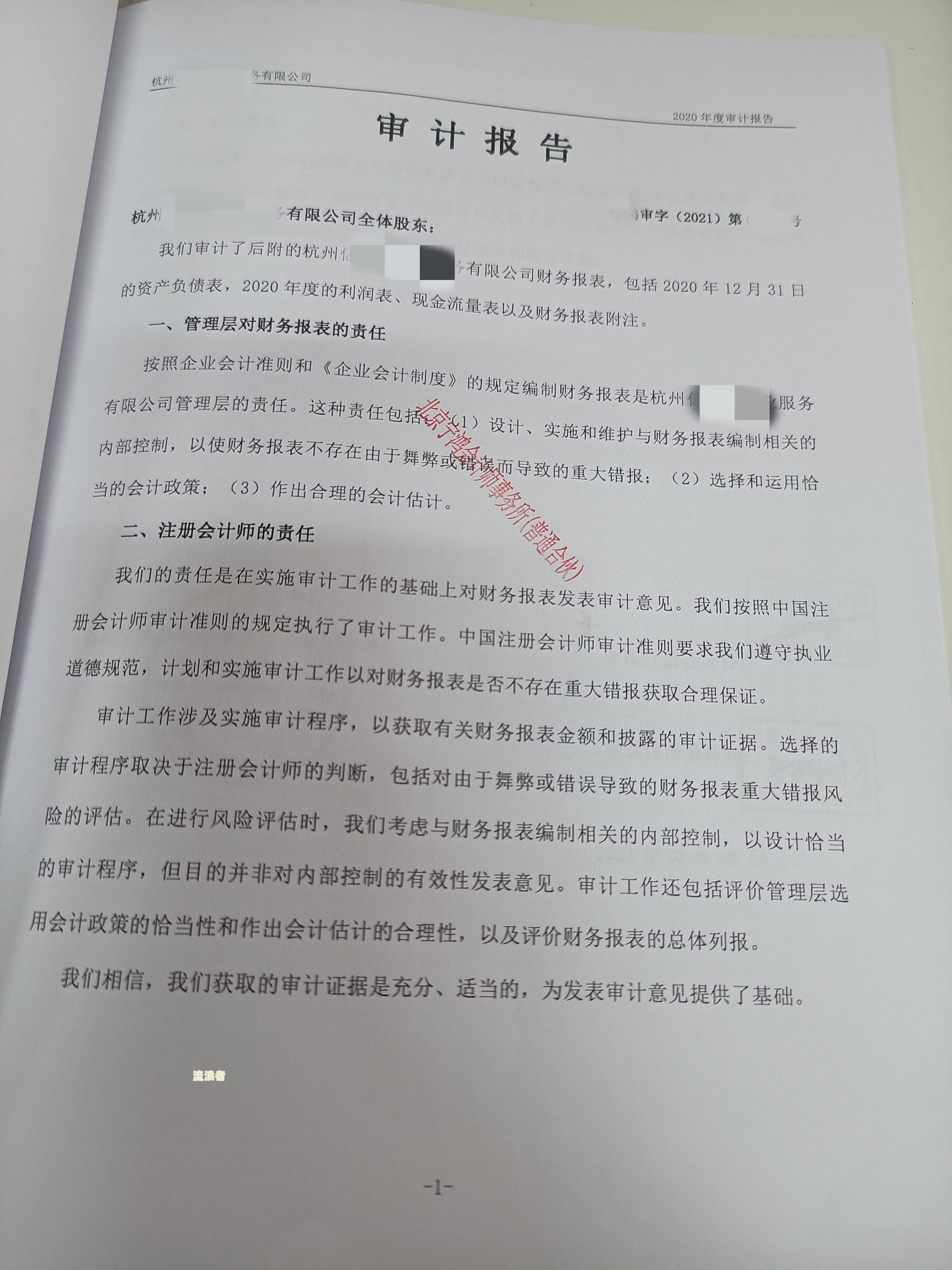 贷款逾期分析报告文及写作模板