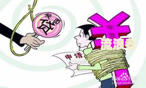 逾期贷款增加原因怎么填
