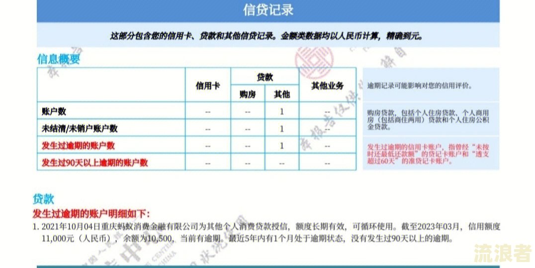 征信怎么看逾期次数图片显示