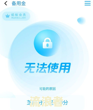 花呗逾期几千块，天天打电话催账，已逾期100天，该如何处理？