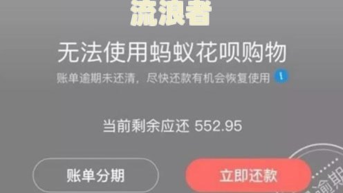 支付宝充电宝逾期已还款，为何仍显示未归还？