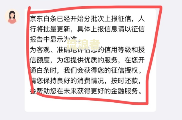 白条逾期民事责任：如何划分与承担？