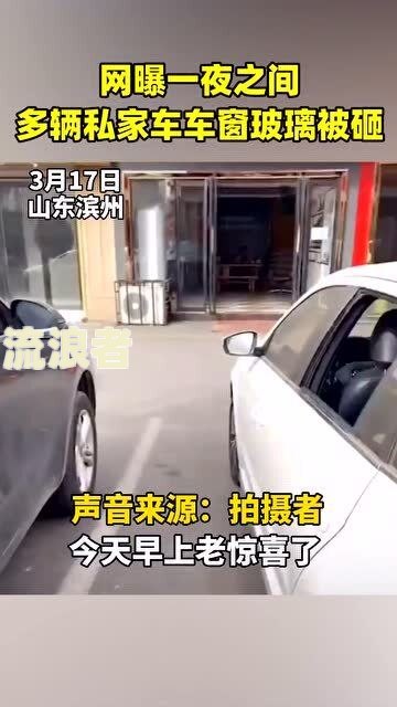 押车给私人后车被卖掉了，如何处理？