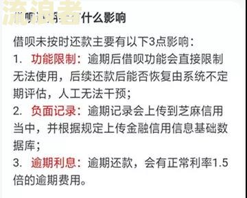 拍拍贷逾期是否会被起诉？相关问题解析