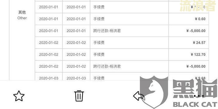 逾期还款总额：解释与示例