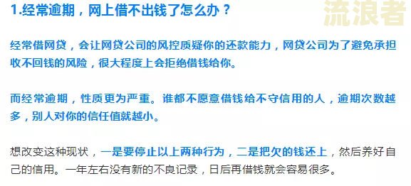 贷款逾期网络公布含义解析：全面解答你的疑问