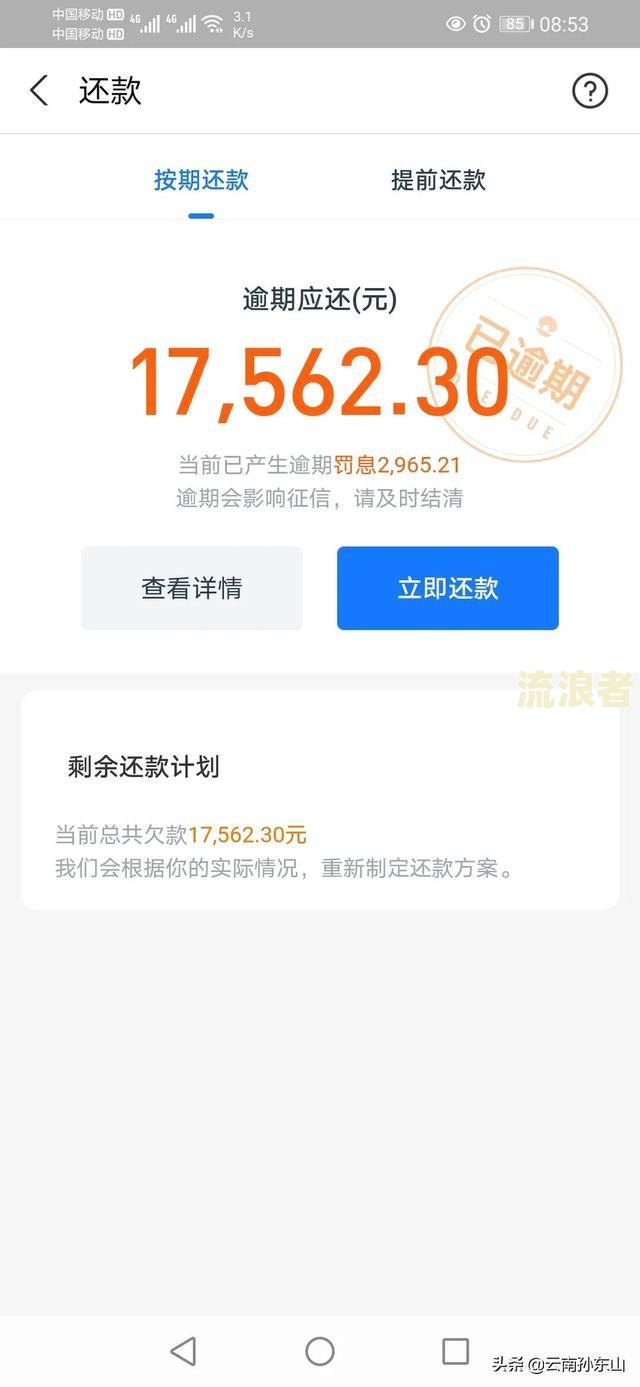 支付宝逾期一万多是否会上门核实？多个用户声称被调查