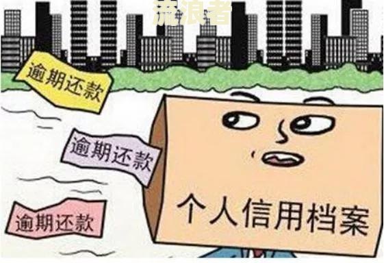 逾期客户分类：原则、类别与案例分析