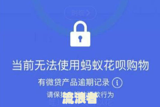 云闪付借款逾期一天：还款后影响、无法自动还、显示248天原因及后果