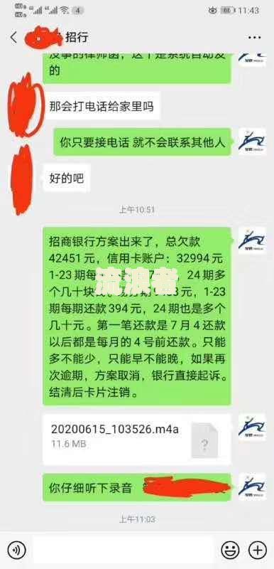 我欠银行60/30/20万被起诉了，丈夫欠60万房产会拍卖吗？信用卡6万坐牢经历分享