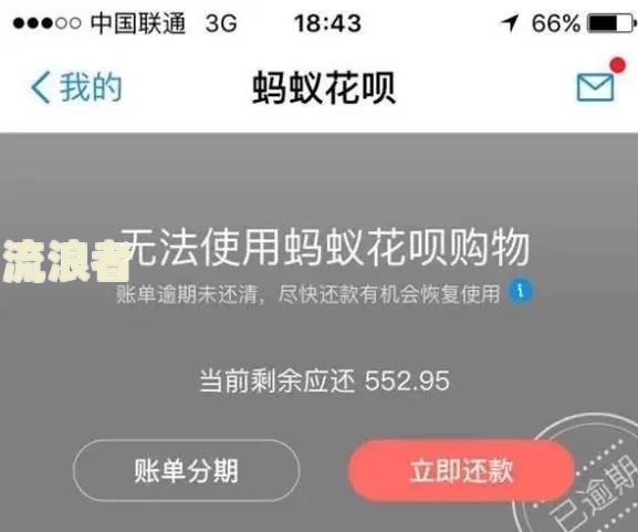花呗逾期二个月为何未联系家人？逾期后果严重，需尽快还款避免被追究责任。