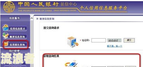 一个的征信如何查？全面解析个人信用记录及查询限制