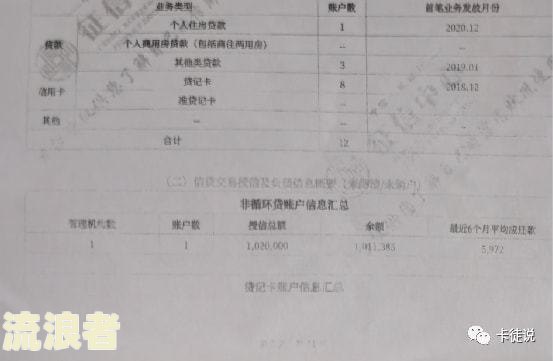 建行房贷逾期两年后果及处理方式：上征信吗？