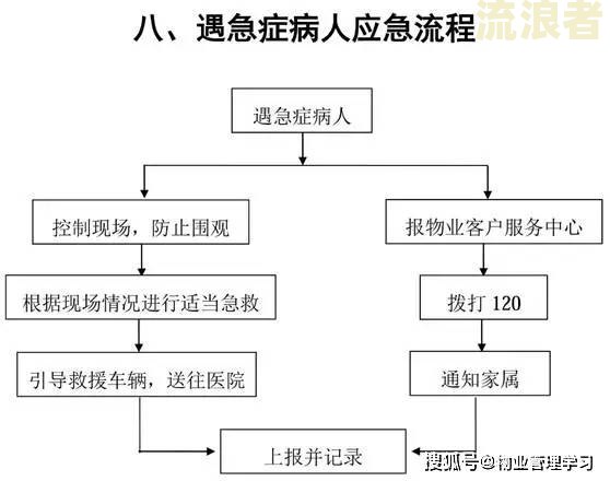 商票质押到期后的完整流程图与操作步骤