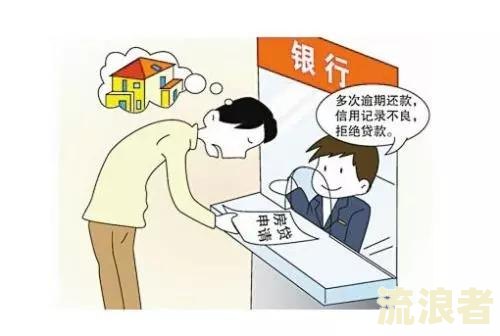 信用卡逾期异议申请成功率：影响因素与提升方法