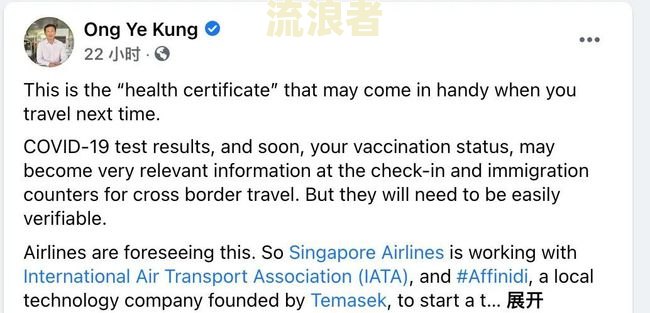 新加坡逾期逗留记录洗白：如何避免处罚并顺利回国？