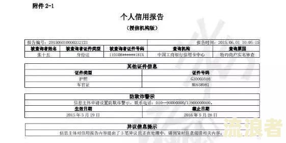 如何处理手机在征信报告中的问题：准确查询与解决办法