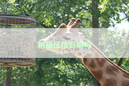 新版征信影响吗
