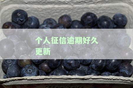 个人征信逾期好久更新