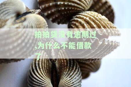 拍拍贷没有逾期过,为什么不能借款了