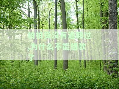 拍拍贷没有逾期过,为什么不能借款了