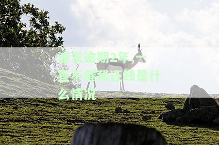 浦发逾期20天还不起最低怎么和催收的说好，逾期10天了让一吹还清，欠款不还怎么办