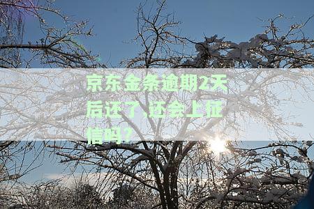 京东金条逾期2天后还了，还会上征信吗？如何处理？是否会有影响？