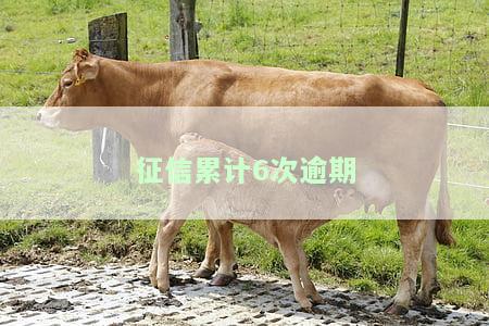 征信累计6次逾期没有当前逾期记录，有影响吗？